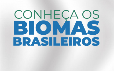 Conheça os biomas brasileiros