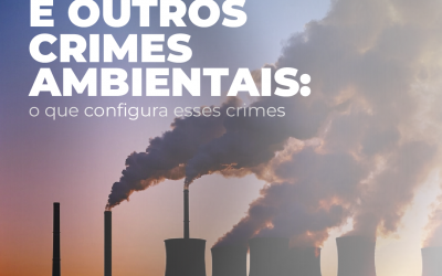 Poluição e outros crimes ambientais: o que configura esses crimes.