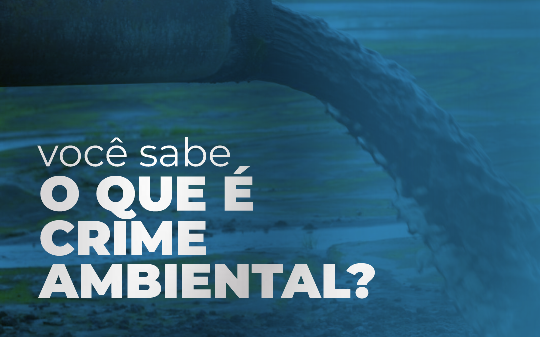 Você sabe o que é Crime Ambiental?