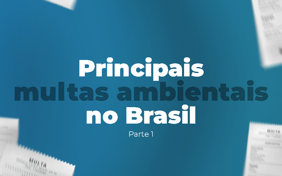 Quais as principais multas ambientais no Brasil – Parte 1