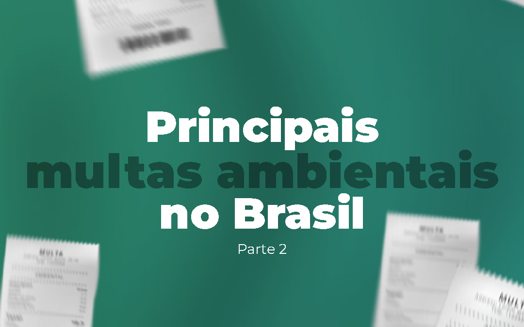 Quais as principais multas ambientais no Brasil – Parte 2
